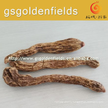 Chinese Raw Cynomorium songaricum on hot sale